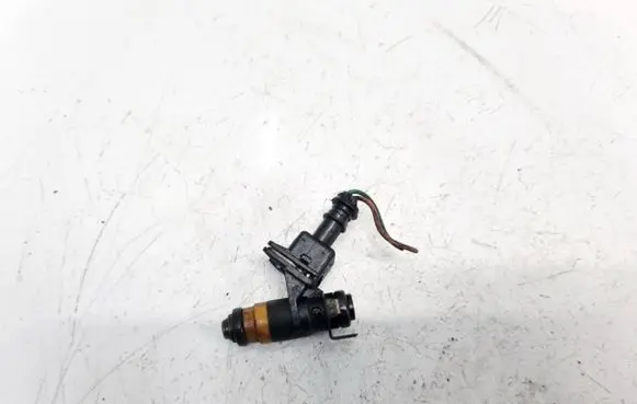 Renault Scenic I Fuel injector H029611 ITG048