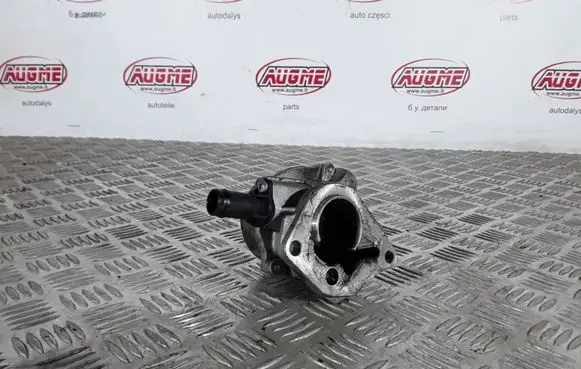 Renault Kangoo II Vacuum pump 7006730300