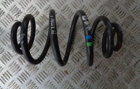 Rear coil spring