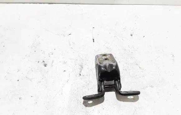 Hyundai Santa Fe Rear door lower hinge