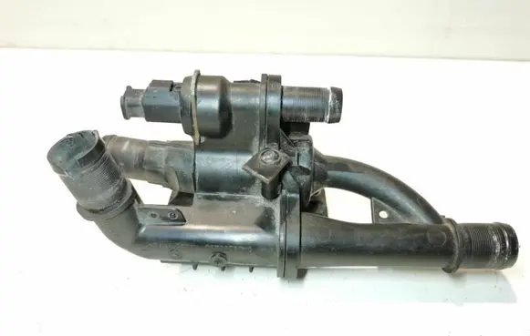 Thermostat/thermostat housing