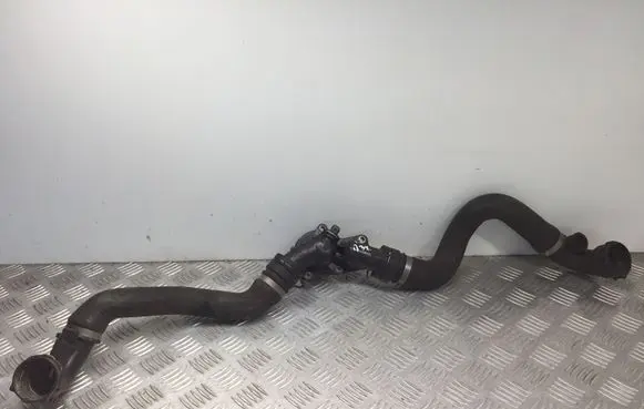 Thermostat/thermostat housing