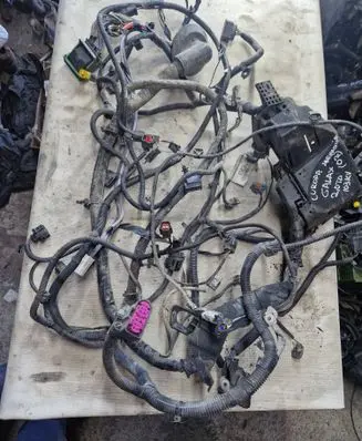 Ford Galaxy Engine installation wiring loom 6G9T14A067AB A6GB20GF10