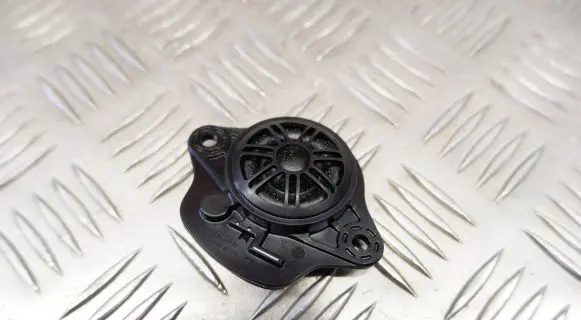 Tesla Model 3 Panel speaker 109873700B