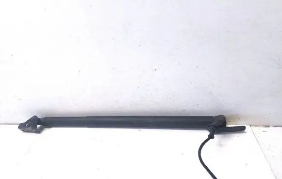 KIA Sorento Tailgate strut 81831P2100