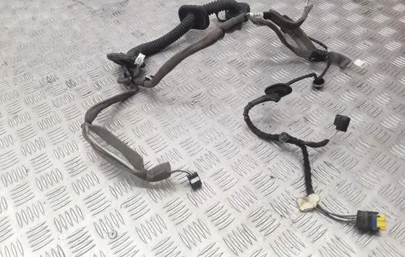 Renault Megane III Front door wiring loom 241241649R