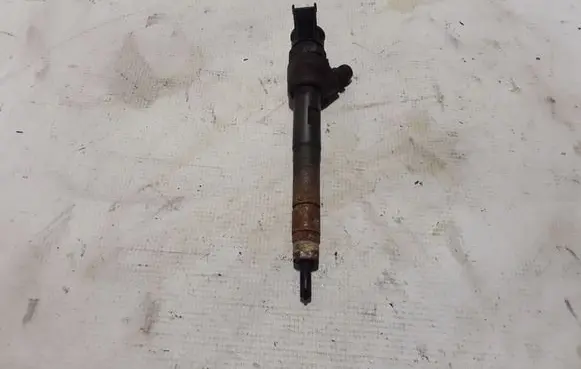 Land Rover Discovery Sport Fuel injector G4D39K546AA