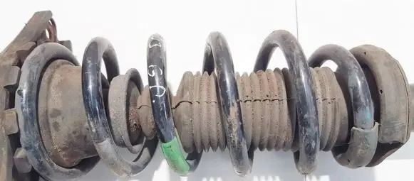 Nissan Primera Rear coil spring