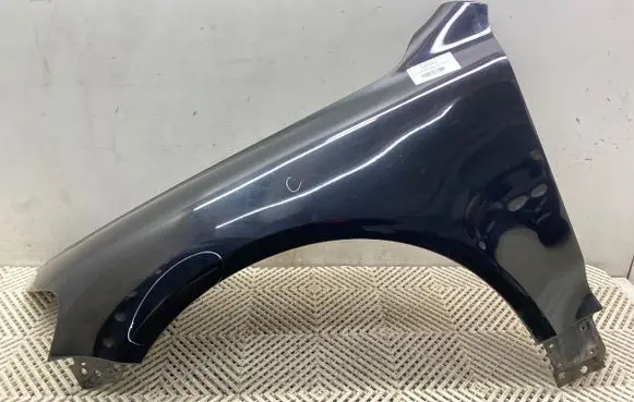 Volkswagen Touareg I Fender