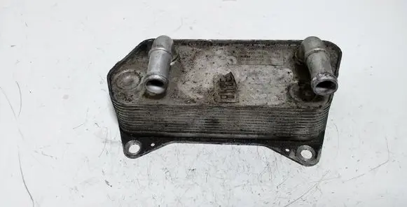 Skoda Octavia Mk2 (1Z) Oil filter mounting bracket 02E409061B