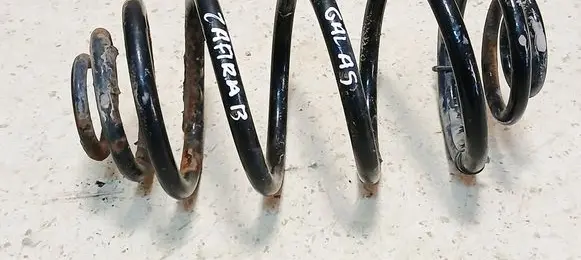 Rear coil spring