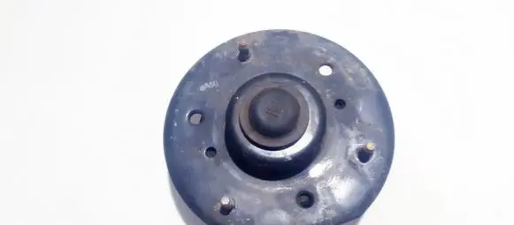 Coil spring mount