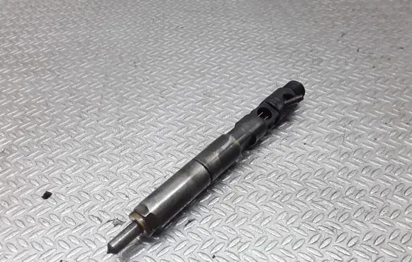 Renault Megane II Fuel injector EJBR05102D