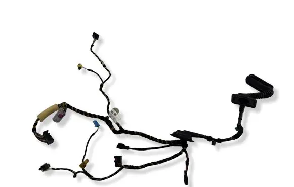 Front door wiring loom