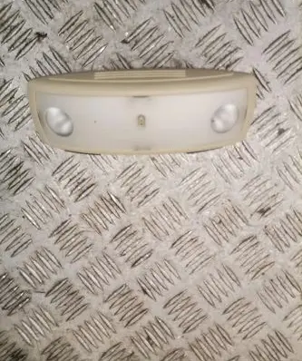 Volvo S80 Rear seat light 39895807