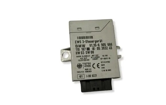 BMW X5 E53 Immobilizer control unit/module 61356905666