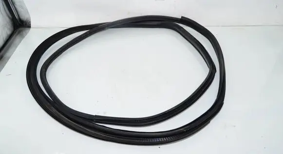 BMW i3 Front door rubber seal 7361018 51767361018