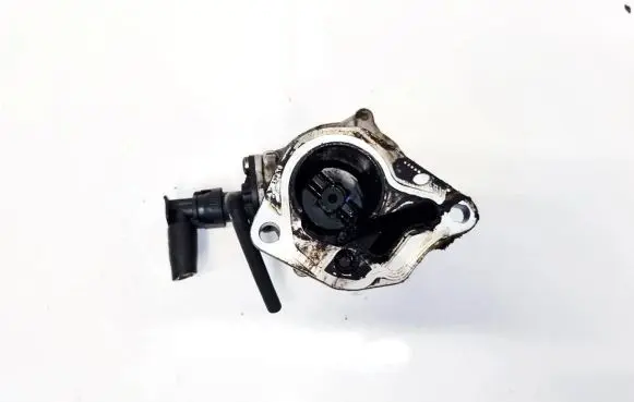 Renault Scenic I Oil pump 