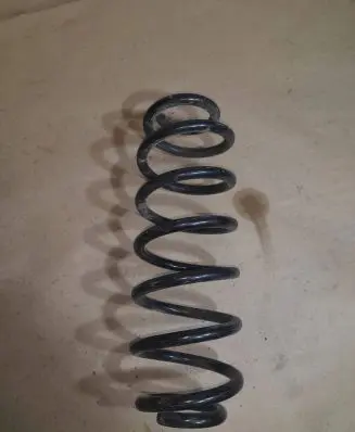 Volkswagen PASSAT B6 Rear coil spring