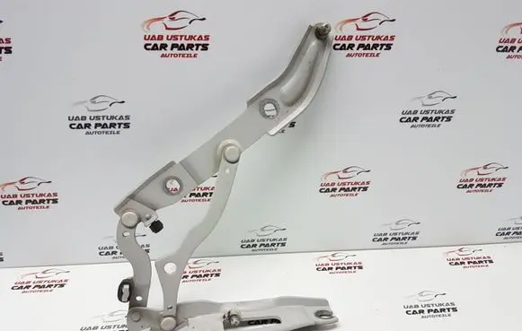 BMW 1 E82 E88 Tailgate/trunk/boot hinge 7166751