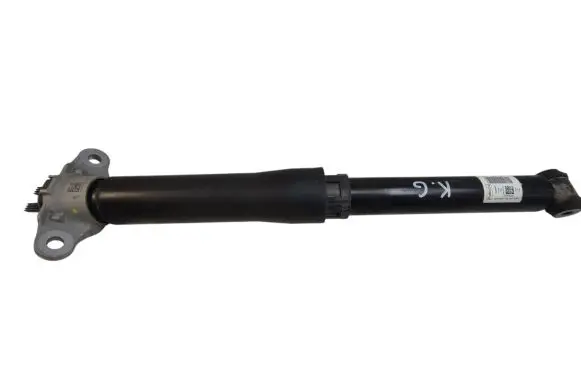 Ford Escape IV Rear shock absorber/damper LX6118080 LX6118080NBH GQXWF