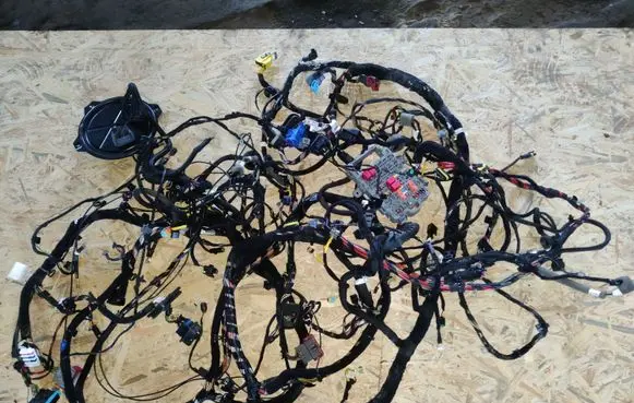 Alfa Romeo Giulia Other wiring loom 00505505990