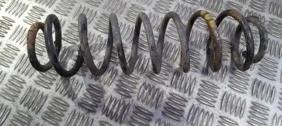Rear coil spring