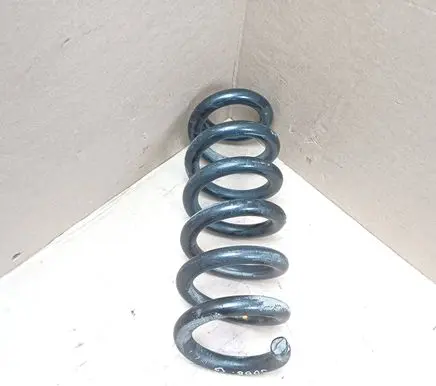 Ford Mustang Mach-E Rear coil spring 