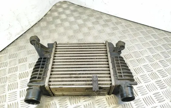 Nissan Juke I F15 Intercooler radiator 14461BM00A