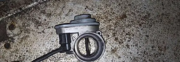 Volkswagen Bora Throttle valve 038128063g