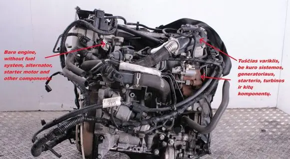 Ford Focus Engine T3DB