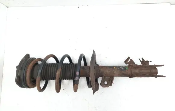 Nissan Qashqai+2 Front shock absorber with coil spring 824903002933 54302JD01A