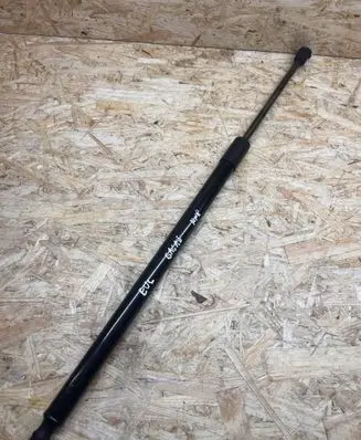 Tailgate/trunk strut/damper