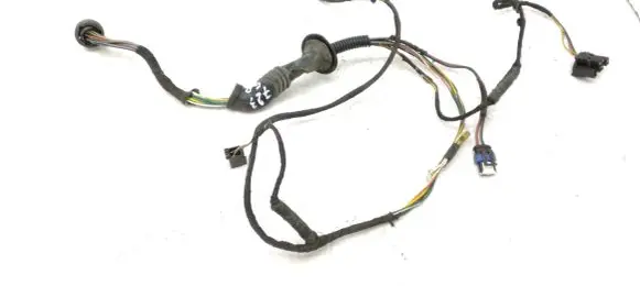 Rear door wiring loom