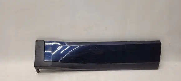 Rear door trim (molding)