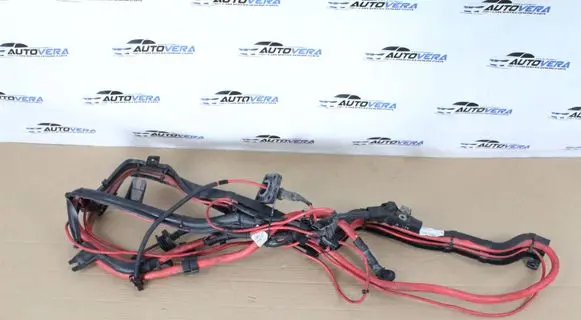 BMW X5 E70 Positive cable (battery) 9218613