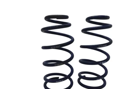 Rear coil spring
