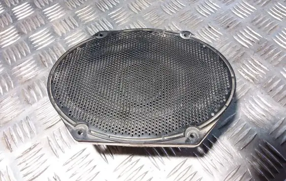 Rear door speaker