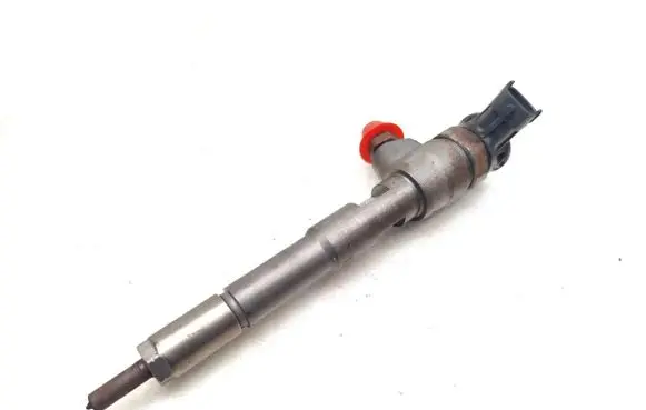 Renault Clio III Fuel injector H8201453073 0445110652