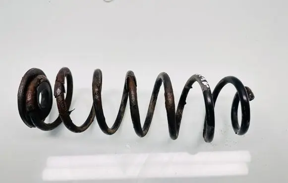 Rear coil spring