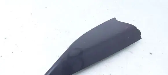 Other rear door trim element