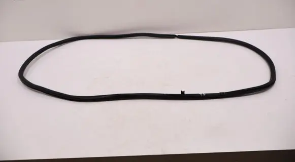 Lexus RX 450H Rubber seal rear door ACM100