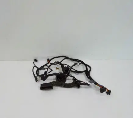 Other wiring loom