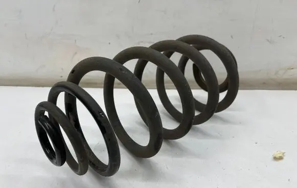 Rear coil spring