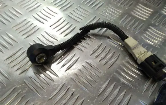 Volkswagen Golf V Detonation knock sensor 021905377E