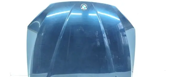 BMW X1 E84 Engine bonnet/hood 