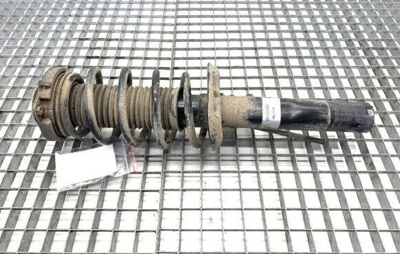 Volkswagen PASSAT B7 Front shock absorber/damper 
