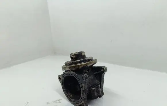 Volkswagen Jetta V EGR valve 038129637D