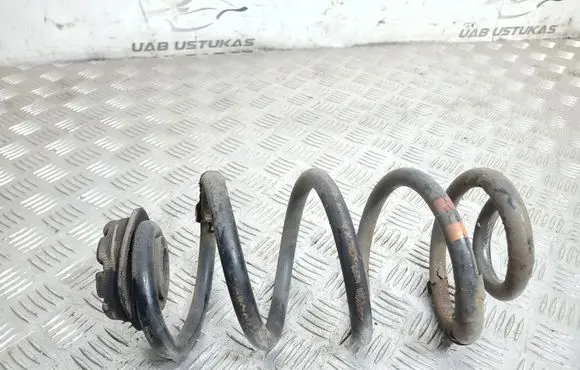 Nissan Qashqai Rear coil spring