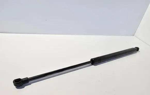 Tailgate/trunk strut/damper